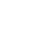 6 Icon